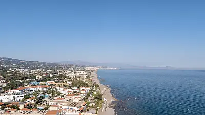 Joan Beach