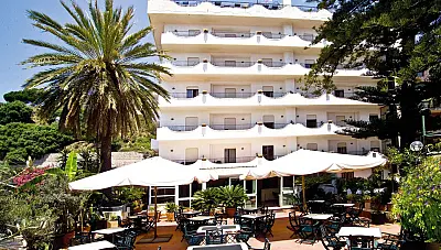 Delle Palme